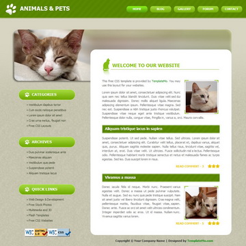 034 Pets