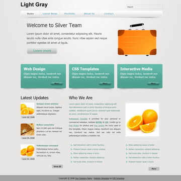 304 Light Gray
