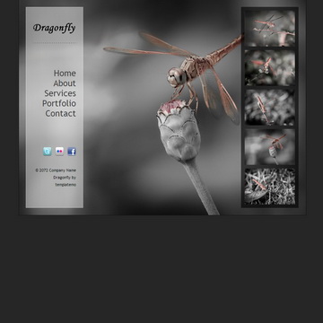 378 Dragonfly