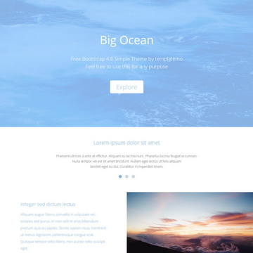 484 Ocean