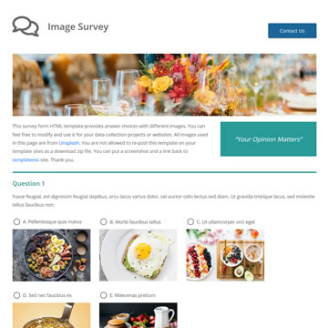 523 Image Survey