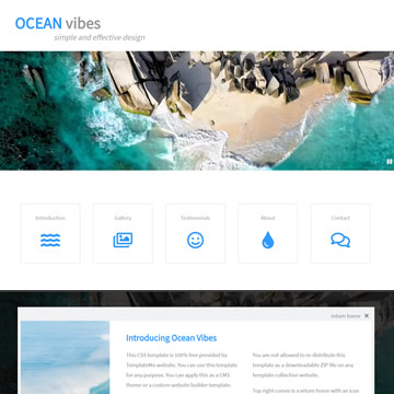 554 Ocean Vibes