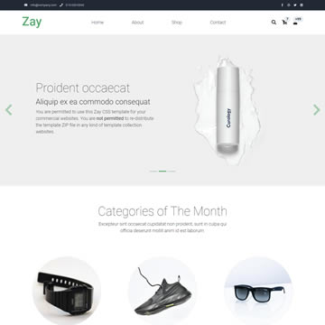559 Zay Shop